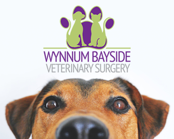 Services-Banner